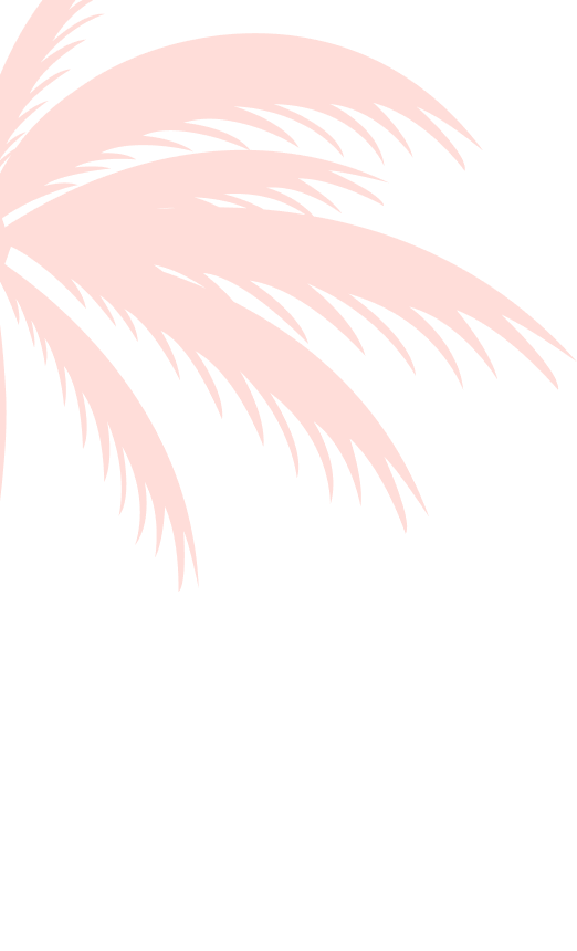layout-slider1-011.png