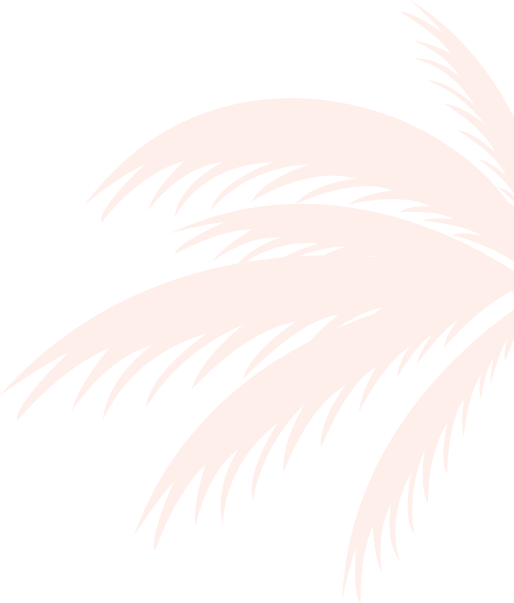 img-slider2-011.png